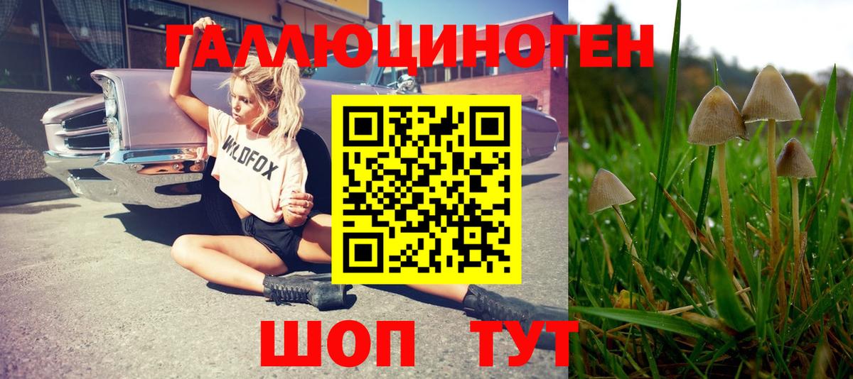 Иваново  Псилоцибиновые грибы прущие грибы  Вход с VPN 